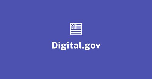 Детальный отчет Digital.gov